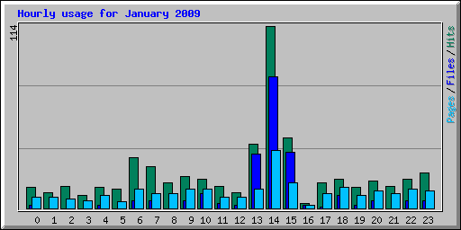 Hourly usage for January 2009
