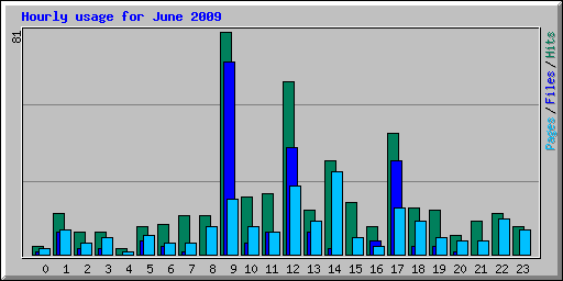 Hourly usage for June 2009