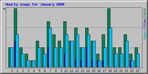 Hourly usage for January 2009